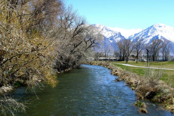 Provo river for fly fishing